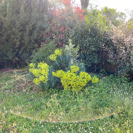 Apartament Cosy Avec Jardin Stationnement Proche Plage